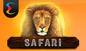 Safari